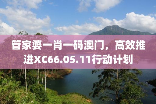 管家婆一肖一碼澳門,高效推進XC66.05.11行動計劃