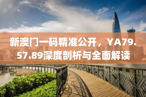 新澳門一碼精準公開，YA79.57.89深度剖析與全面解讀