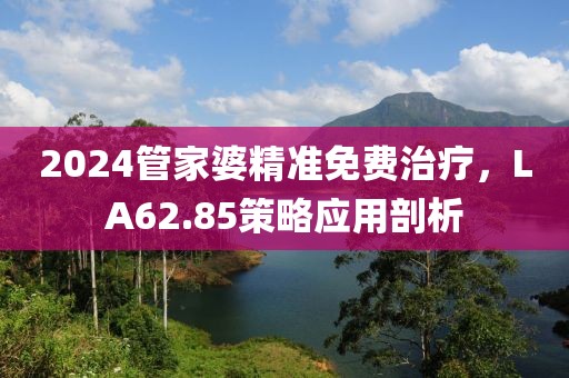 2024管家婆精準免費治療，LA62.85策略應用剖析
