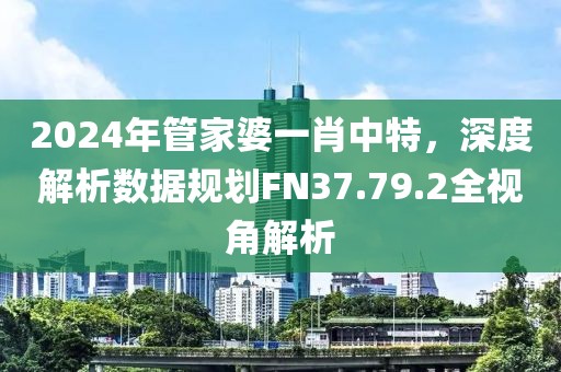 2024年管家婆一肖中特，深度解析數據規劃FN37.79.2全視角解析