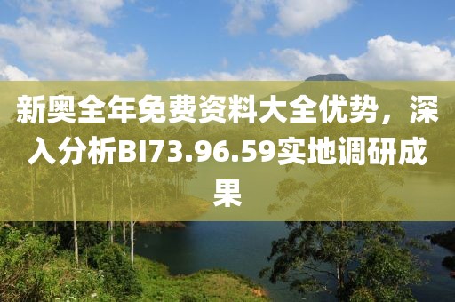 新奧全年免費資料大全優勢，深入分析BI73.96.59實地調研成果