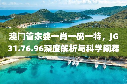 澳門管家婆一肖一碼一特,JG31.76.96深度解析與科學(xué)闡釋