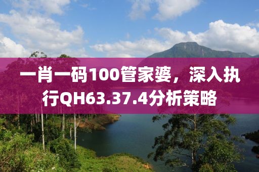 一肖一碼100管家婆，深入執行QH63.37.4分析策略