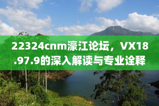 22324cnm濠江論壇，VX18.97.9的深入解讀與專業(yè)詮釋