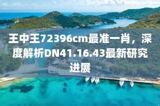 王中王72396cm最準(zhǔn)一肖，深度解析DN41.16.43最新研究進(jìn)展