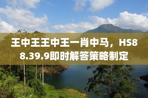 王中王王中王一肖中馬，HS88.39.9即時解答策略制定