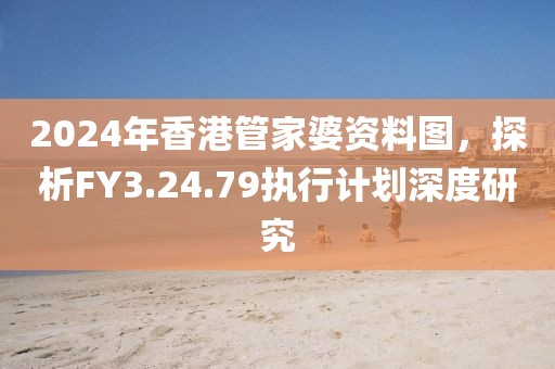 2024年香港管家婆資料圖，探析FY3.24.79執行計劃深度研究