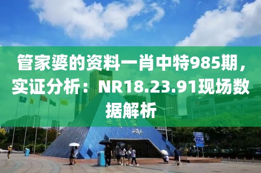 管家婆的資料一肖中特985期，實證分析：NR18.23.91現(xiàn)場數(shù)據(jù)解析