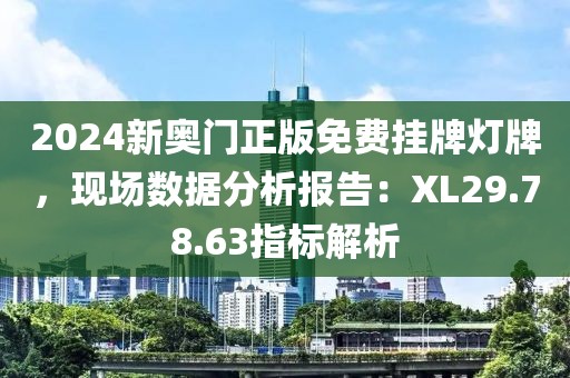 2024新奧門正版免費掛牌燈牌，現場數據分析報告：XL29.78.63指標解析