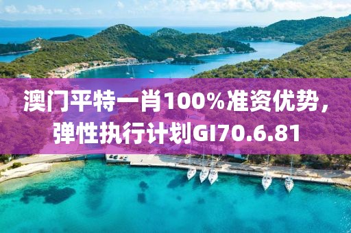 澳門平特一肖100%準資優勢，彈性執行計劃GI70.6.81