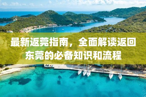 最新返莞指南，全面解讀返回東莞的必備知識和流程
