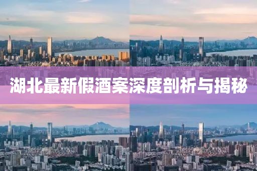 湖北最新假酒案深度剖析與揭秘