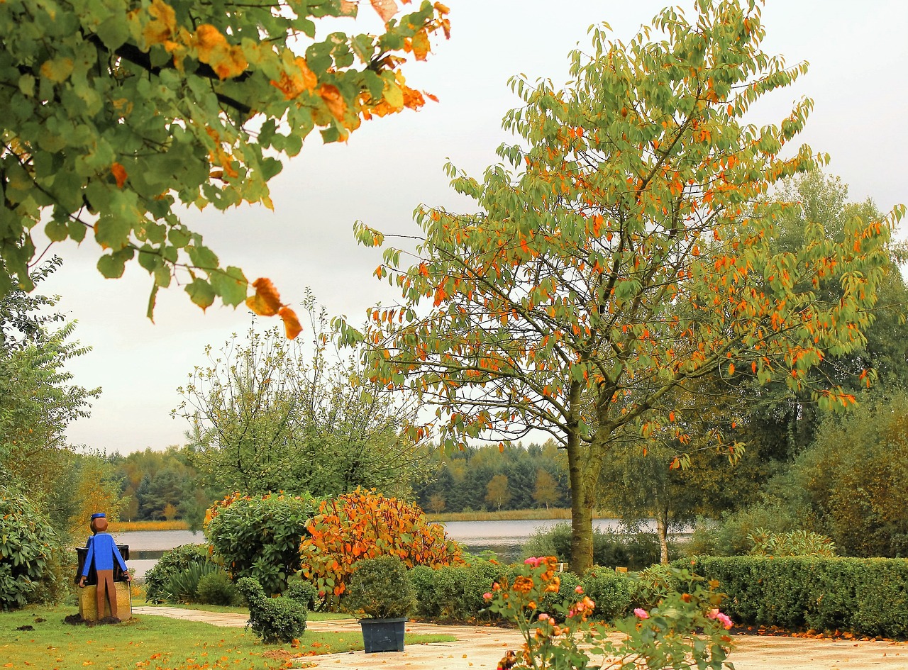 荷花社區最新動態,了解變遷與最新資訊