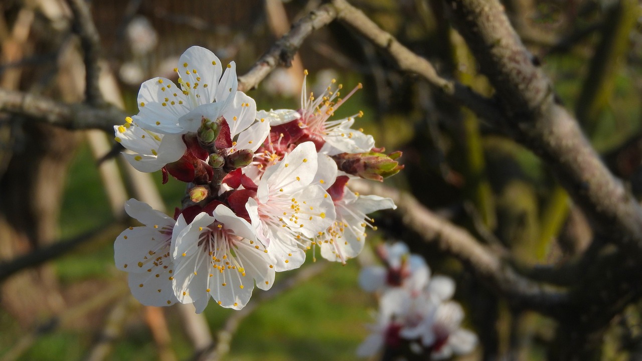 蔡依林最新動(dòng)態(tài),突破自我,魅力不減反增