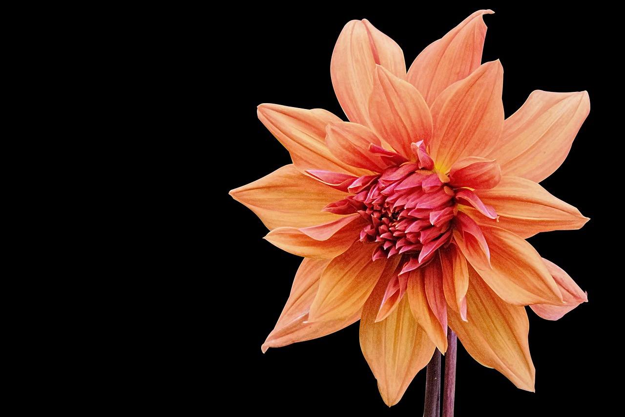 濰坊工廠最新動態(tài)與創(chuàng)新發(fā)展展望,揭秘未來趨勢與機(jī)遇