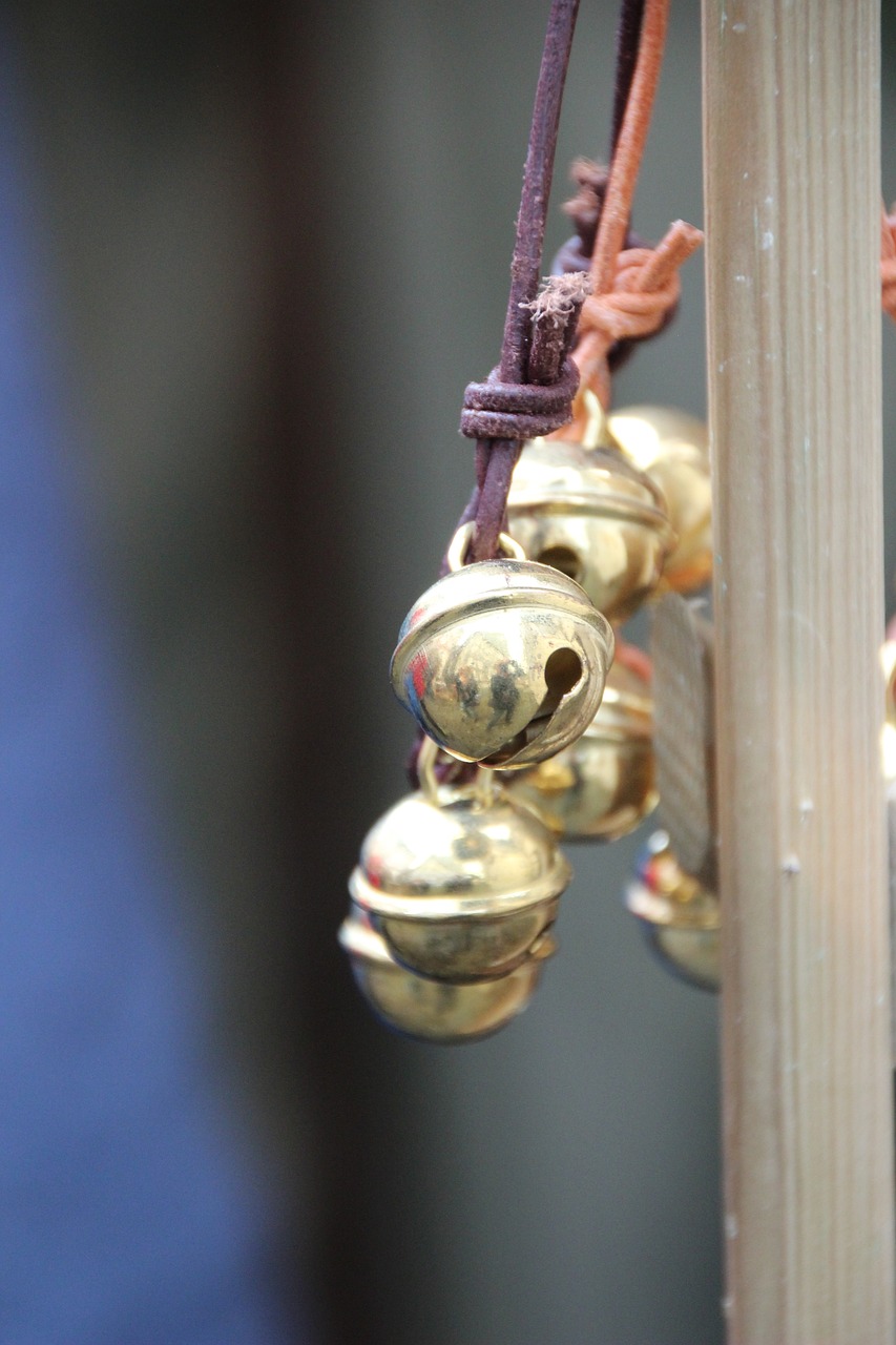 金彈頭最新動態,探索前沿科技與無限潛能