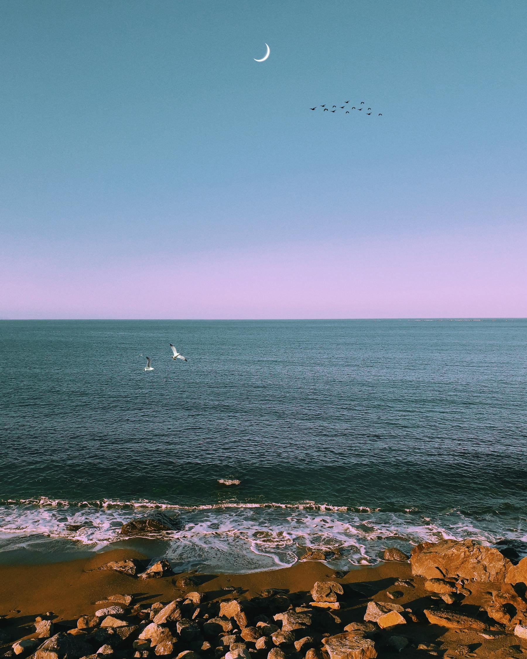 賈淺淺最新動態，文學新星璀璨綻放之路