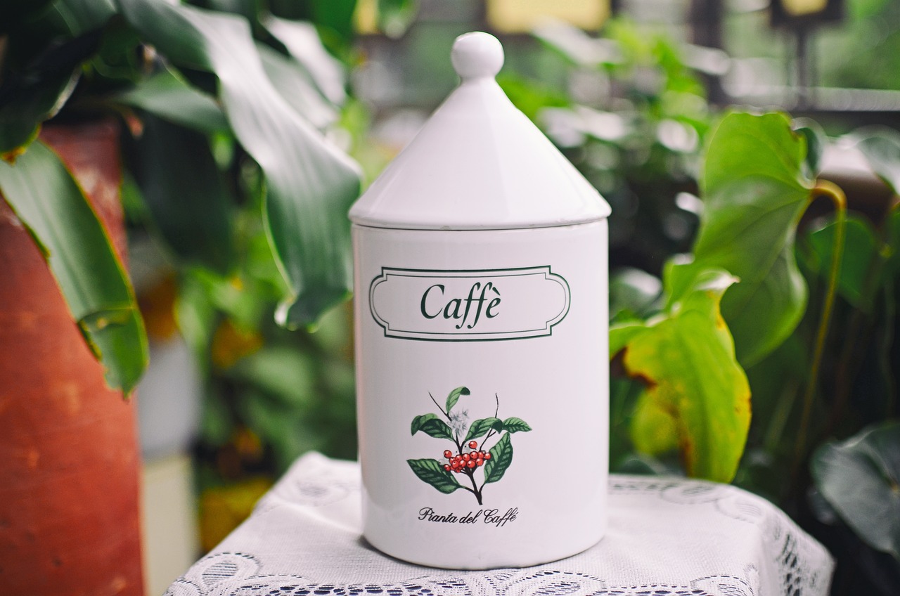 豆奶最新鏈接,探索植物蛋白飲品現代趨勢的熱門話題