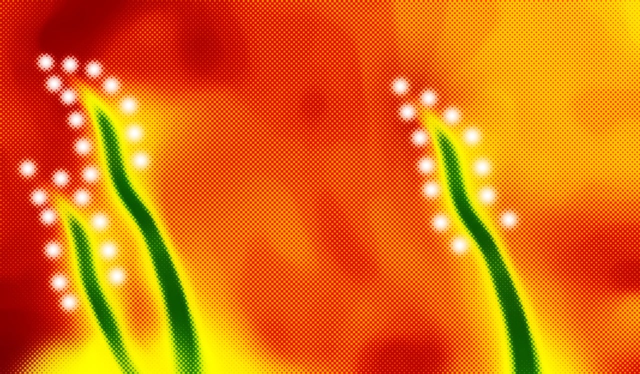 關于我們 第846頁