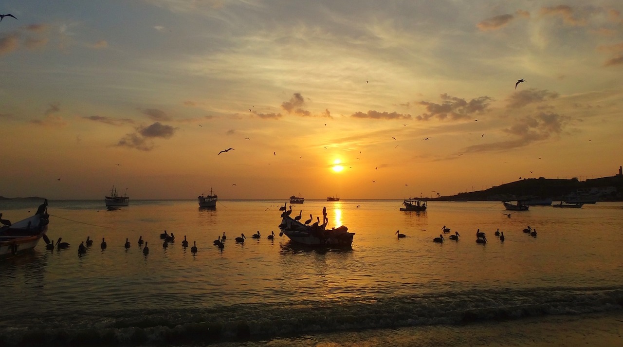 全球共同應對疫情新挑戰,最新防疫地區動態更新