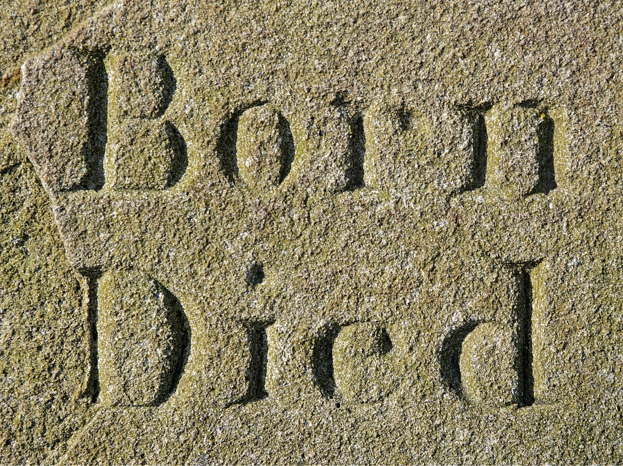 瘋馬山最新動態，自然美景與現代發展的和諧共舞