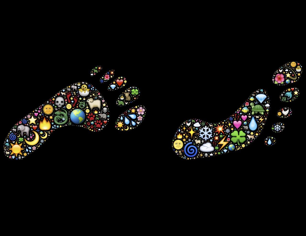 最新金蟾,神秘魅力與實用應用探索