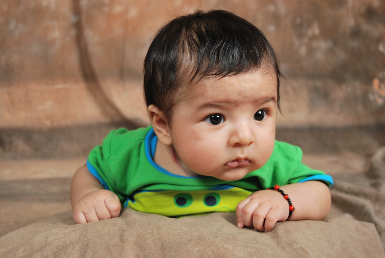 連鎮江最新發展動態,城市煥新顏,未來可期