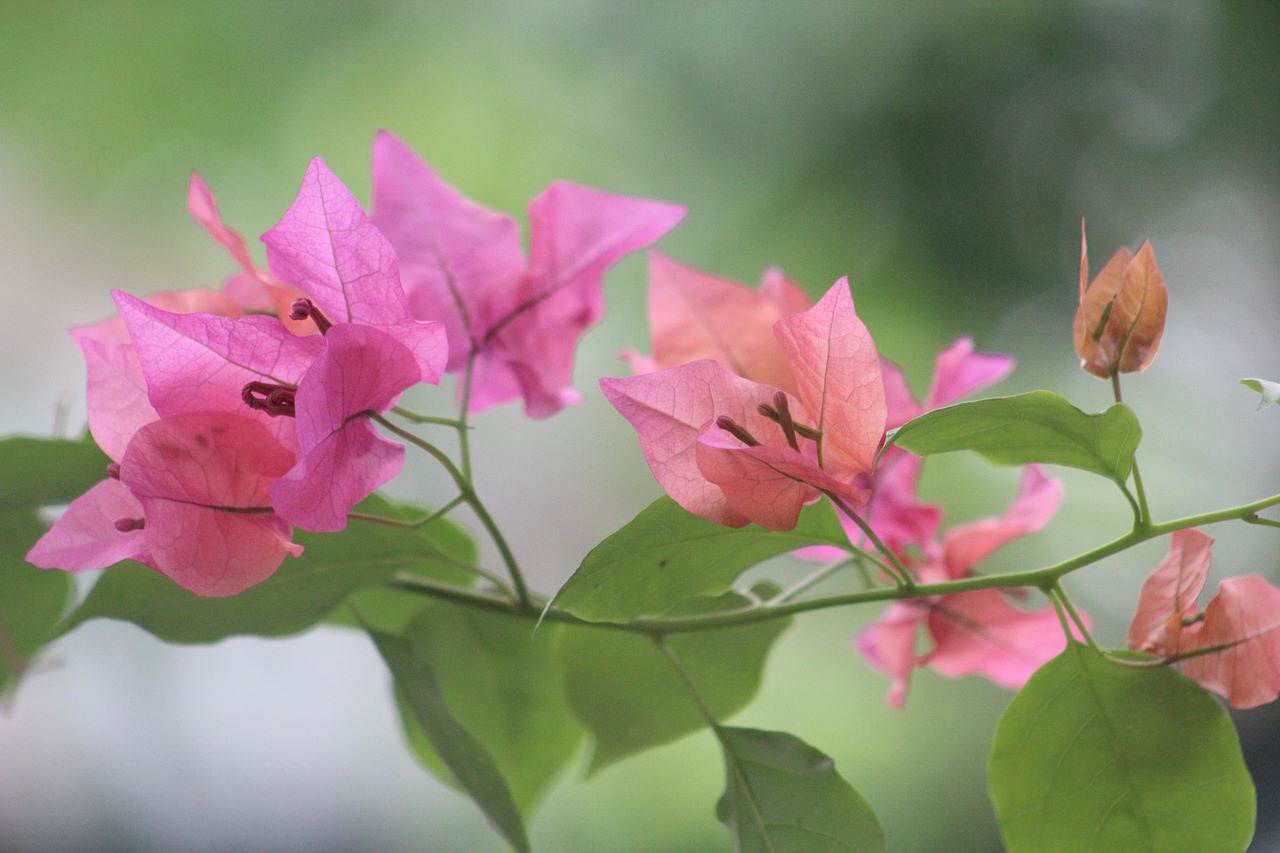 愛錢進最新動態揭秘,金融科技未來發展之路的探索