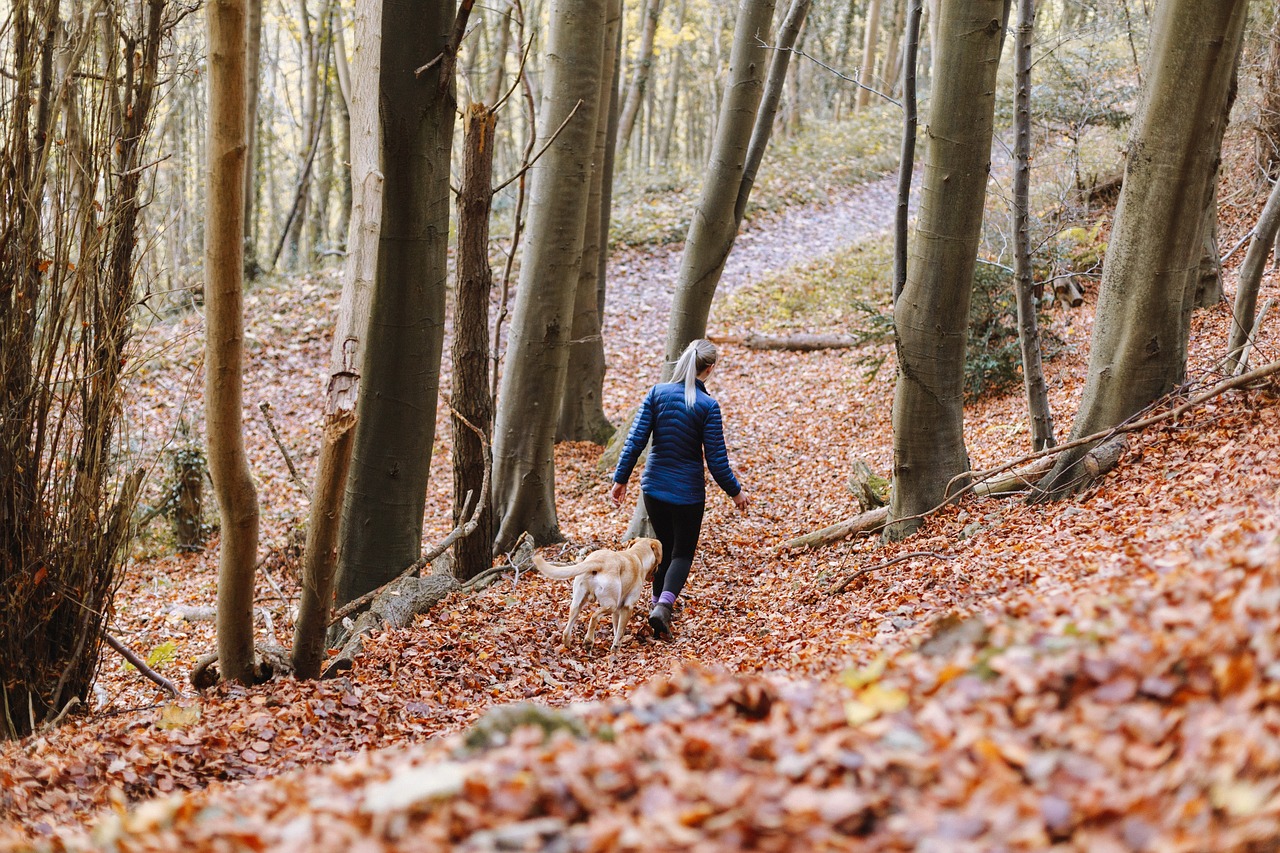 2024今晚澳門開什么號碼,動態數據分析_nShop47.23.85