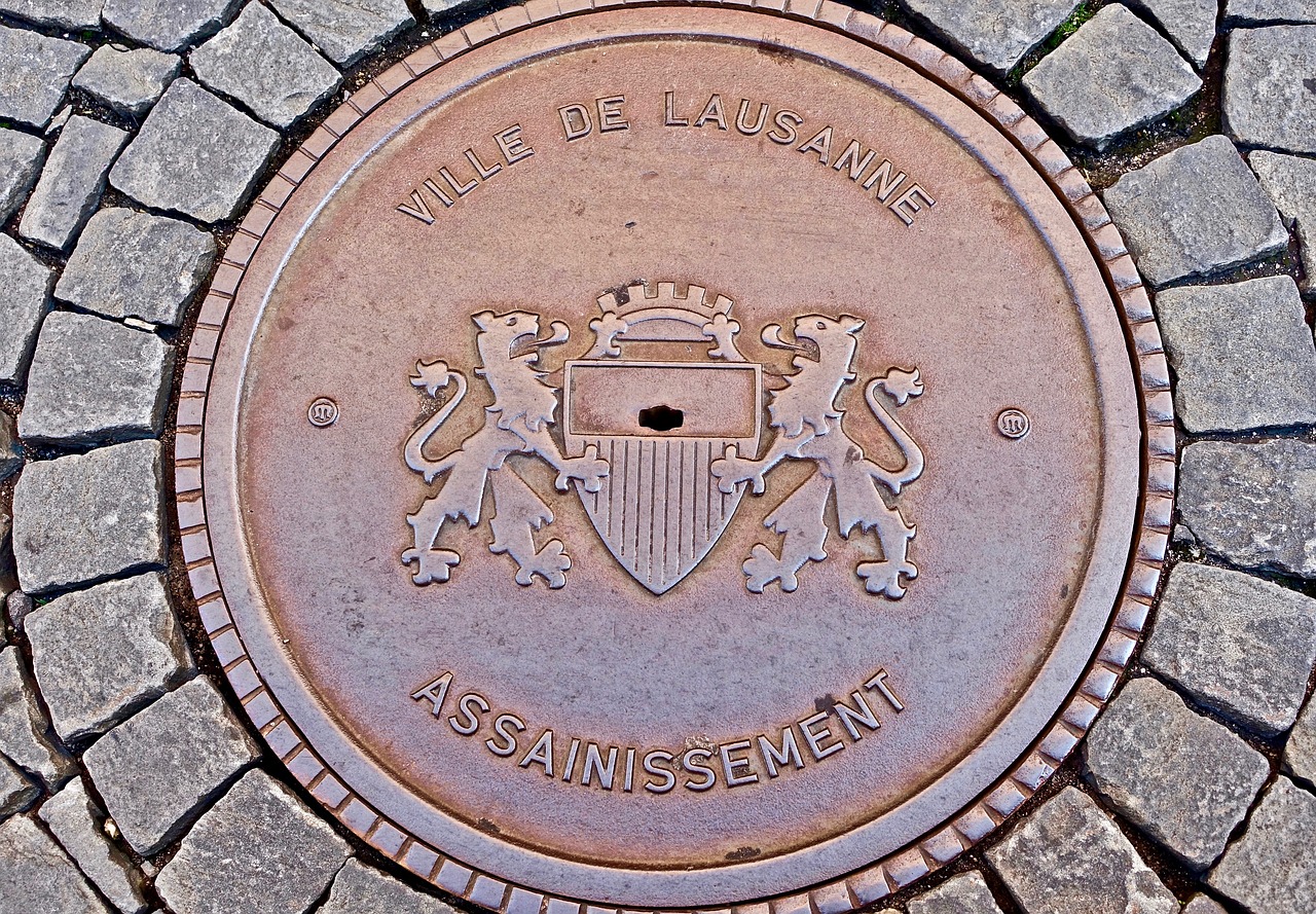 2024新澳門天天開好彩大全孔的五伏，詳盡解析說明_并行模式2542.4736