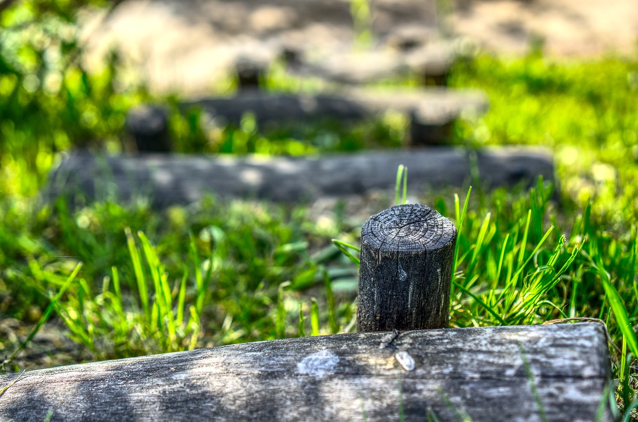 付豪最新動(dòng)態(tài),探索新星崛起的軌跡