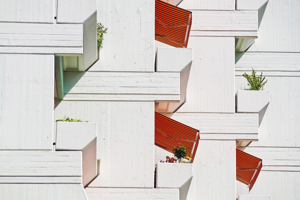 紅會最新動(dòng)態(tài),創(chuàng)新與發(fā)展同步前行