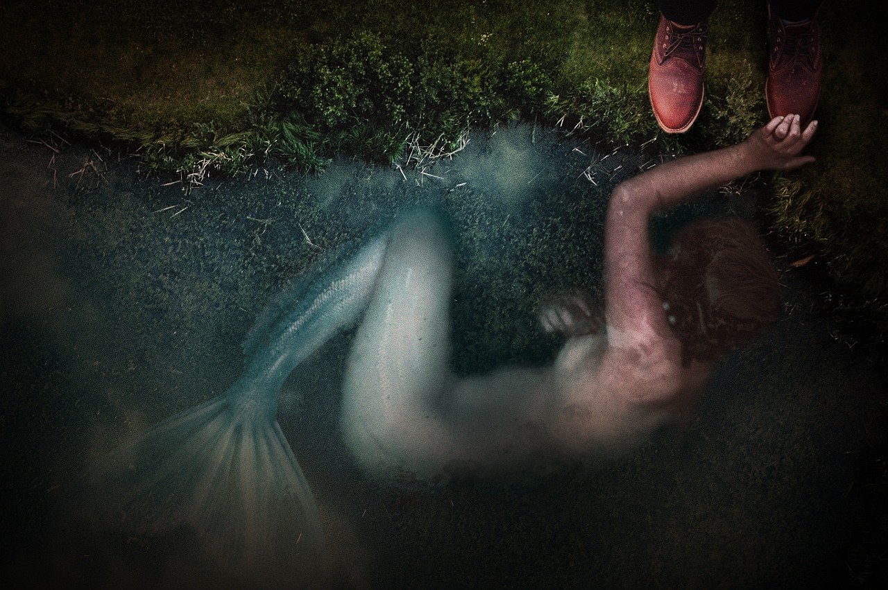 吳大姐的最新風采與故事揭秘