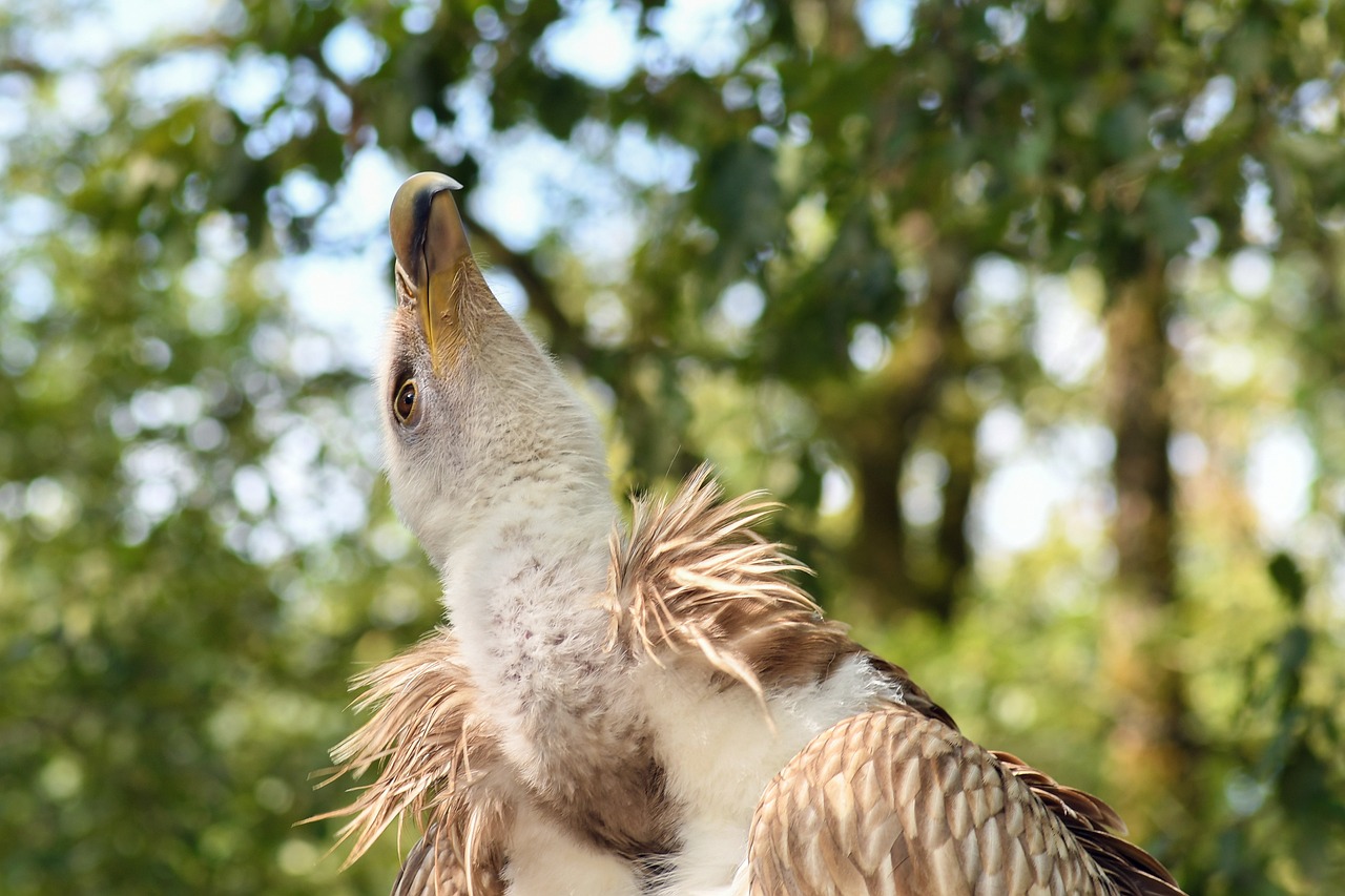 霍州最新房價動態與市場趨勢深度解析