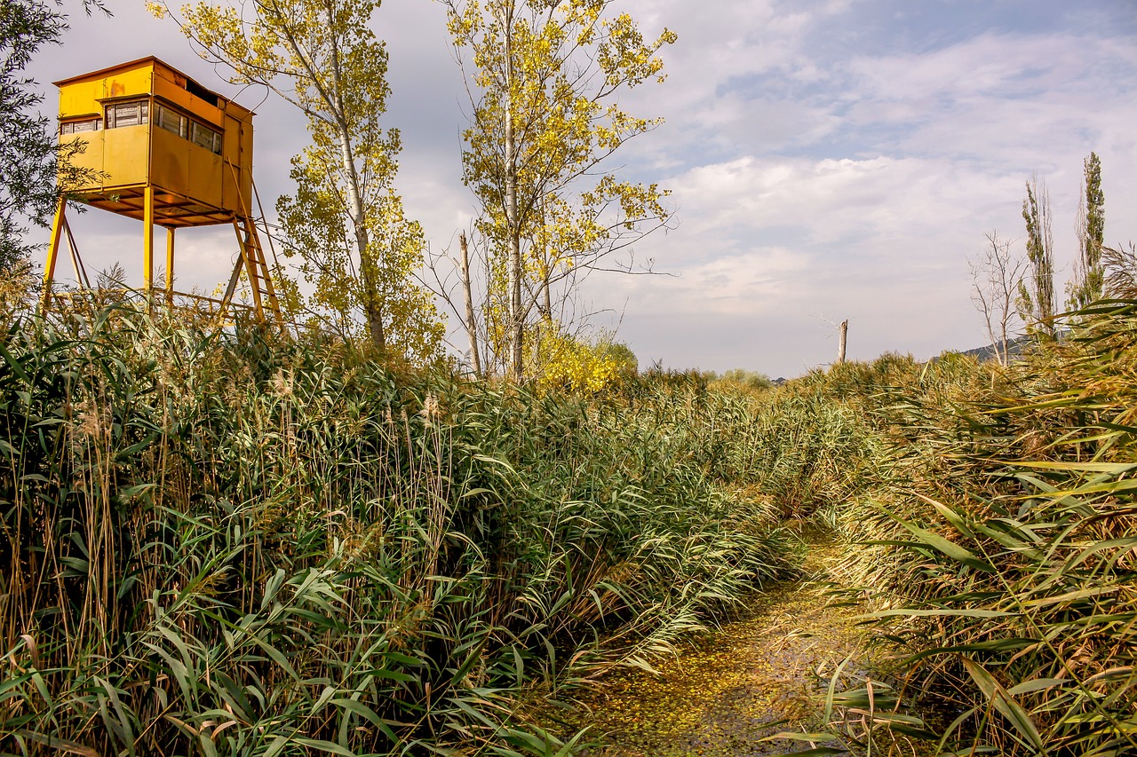 花開無言 第28頁