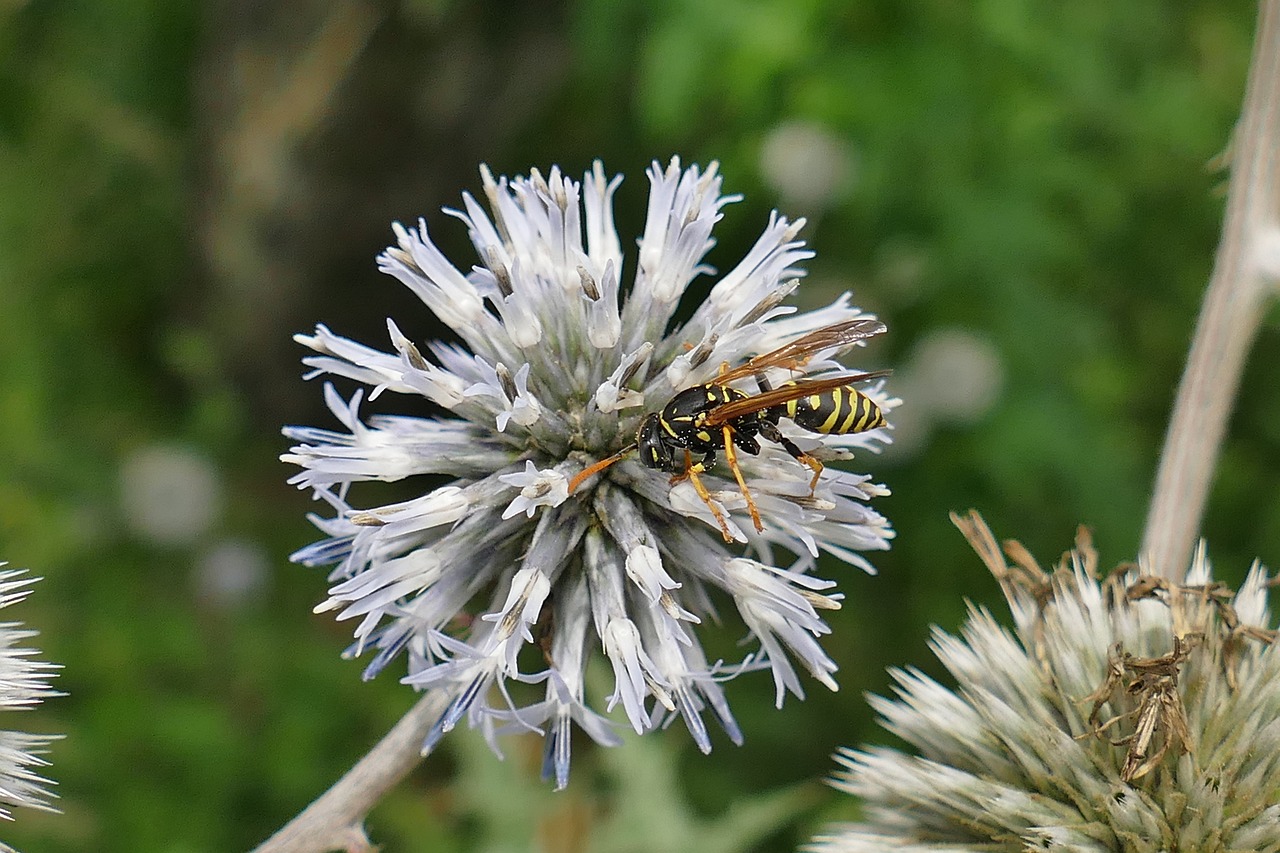 最新早安話,喚醒心靈,美好一天的起點