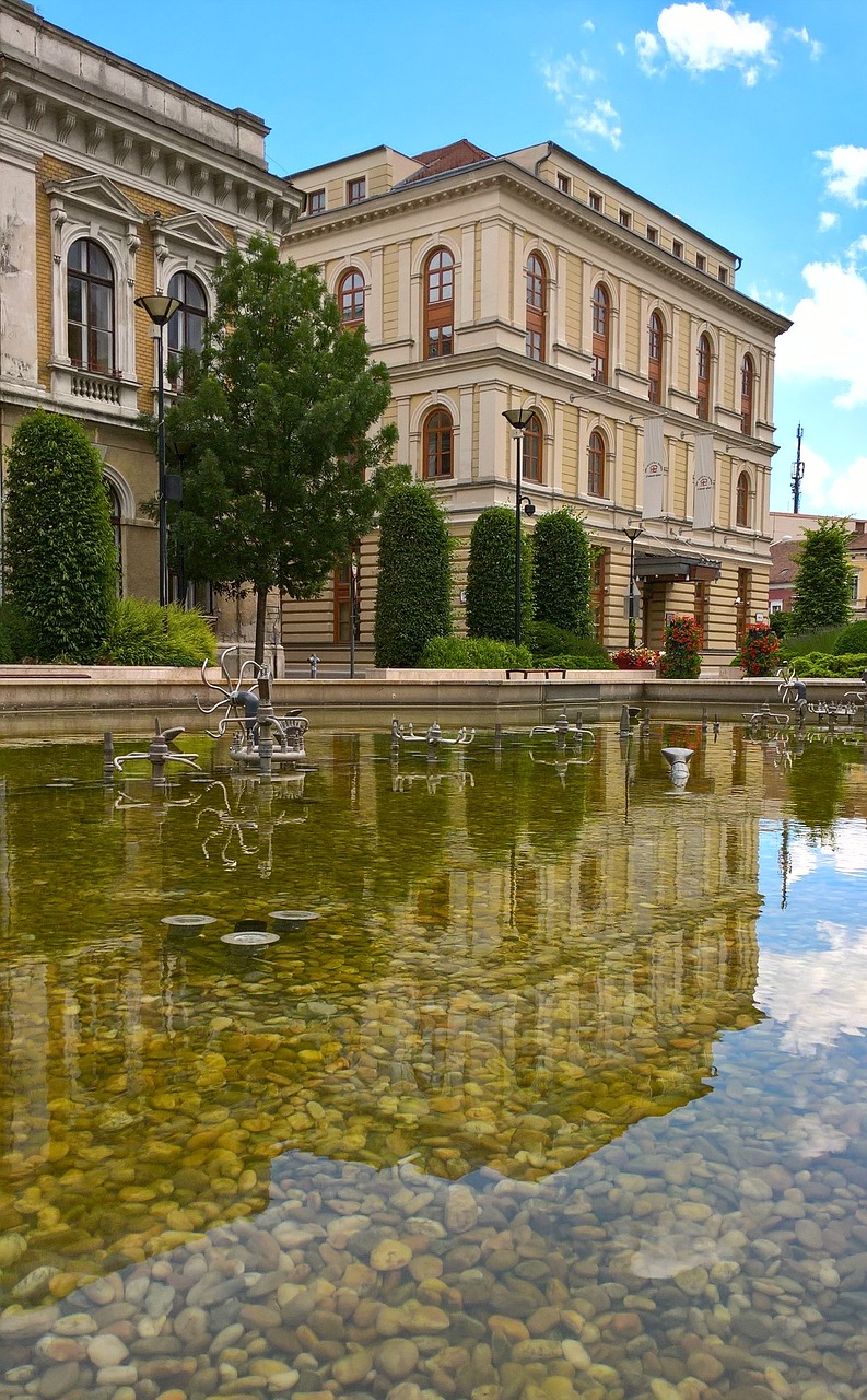 韓星最新動態,璀璨娛樂圈更新迭起的風采