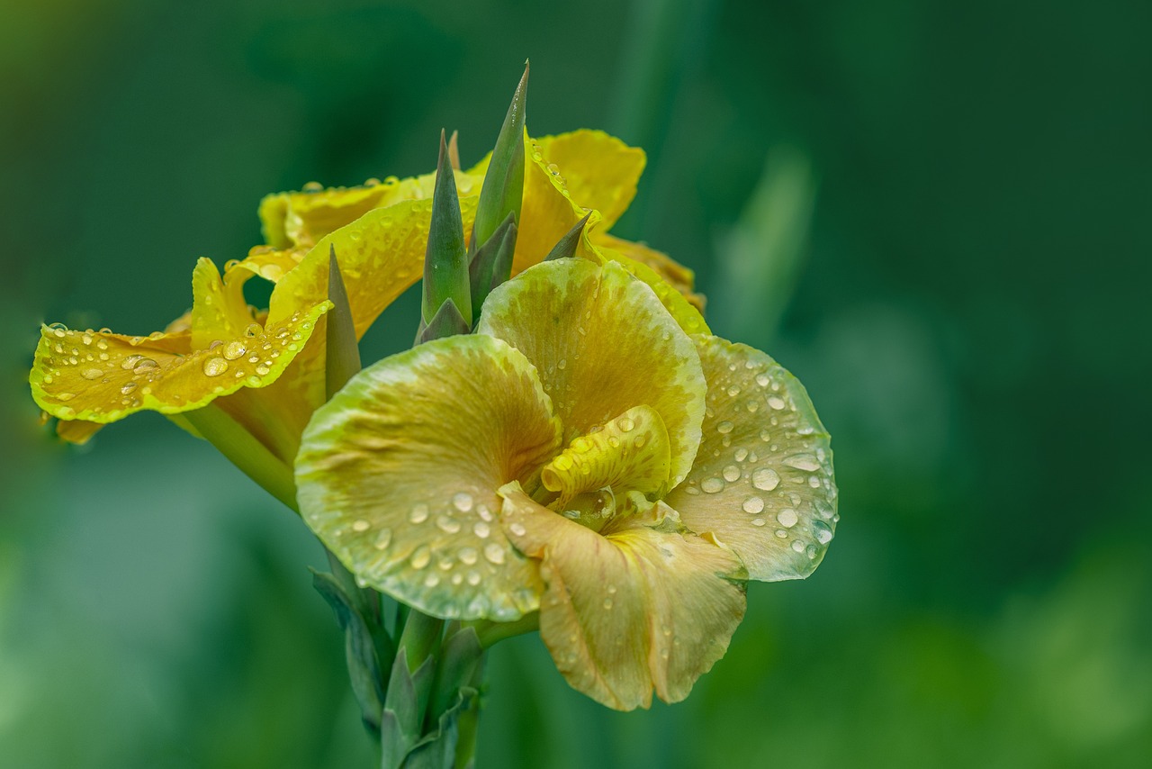 嶗山牟家，傳承與發展的融合之美最新動態