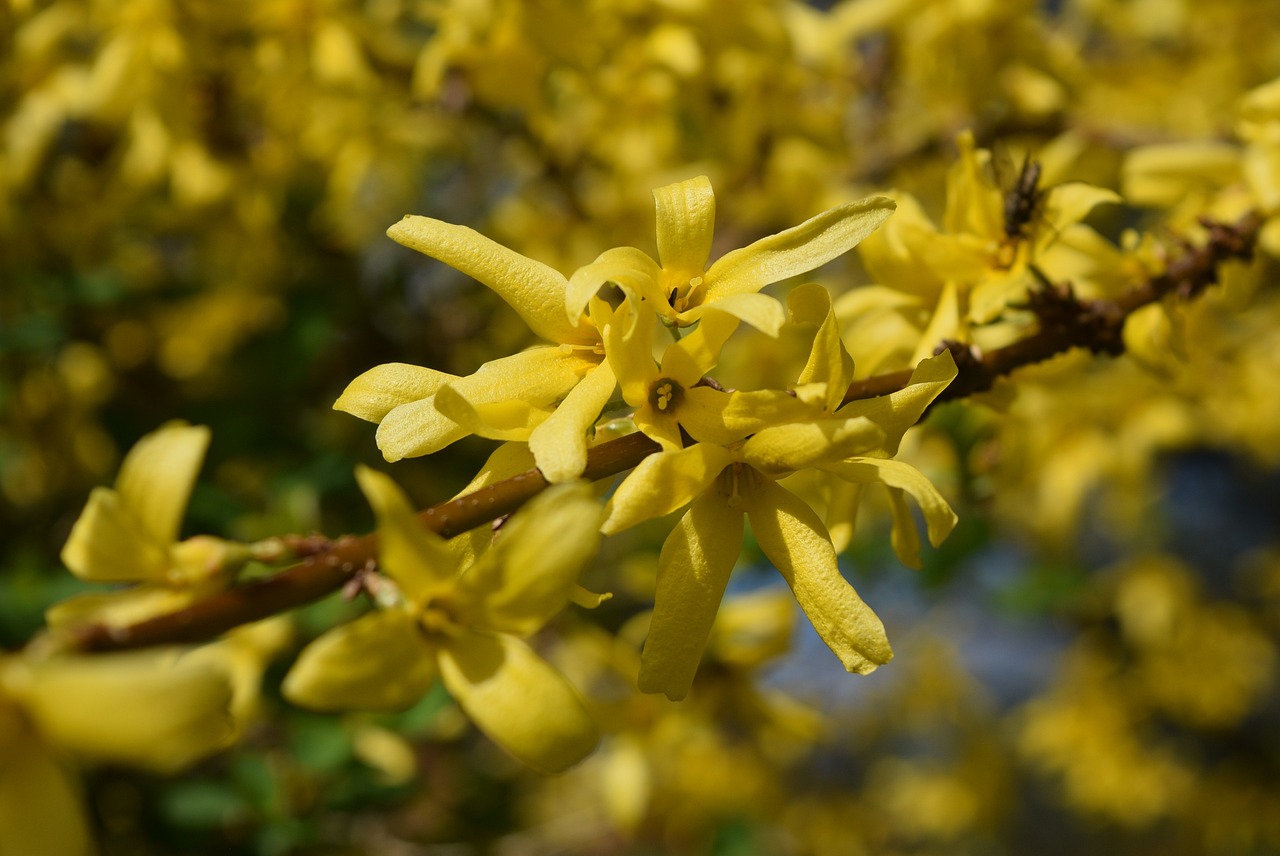 王韻嬋最新動態，璀璨星途展現無限可能