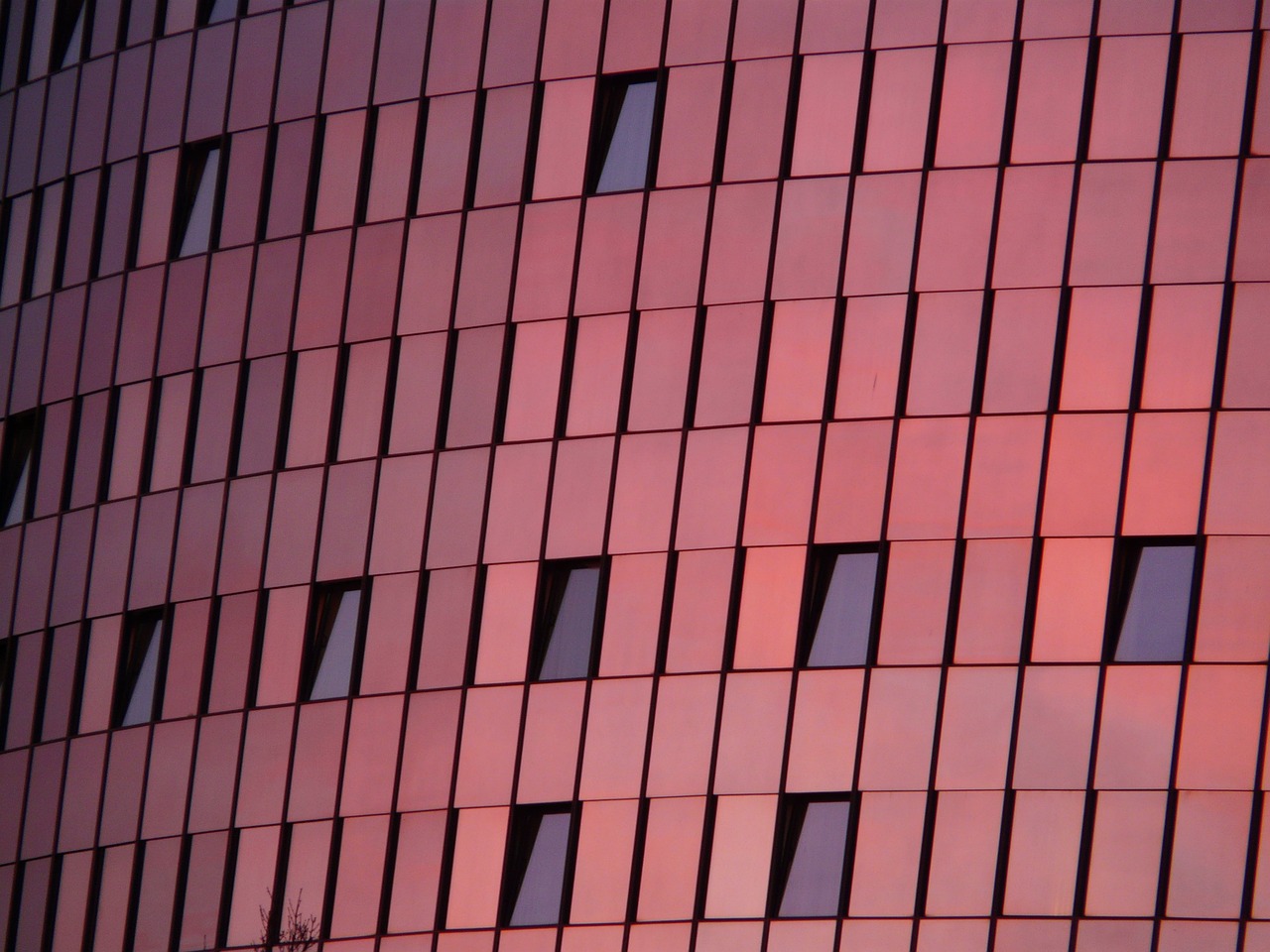 探索網(wǎng)紅經(jīng)濟(jì)新領(lǐng)域與趨勢(shì)，最新網(wǎng)紅資訊動(dòng)態(tài)