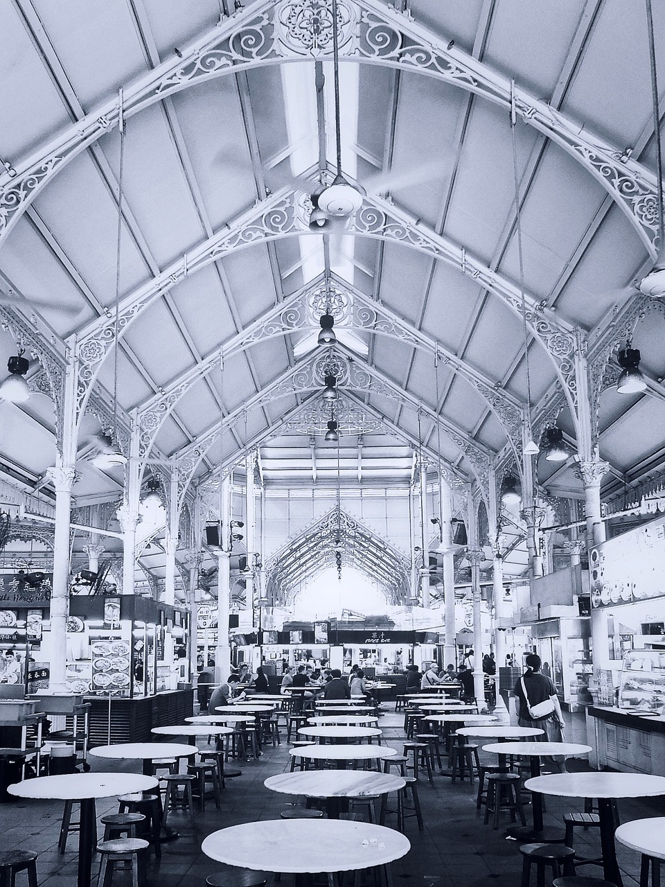 籃球巨星約基奇的新征程動態更新