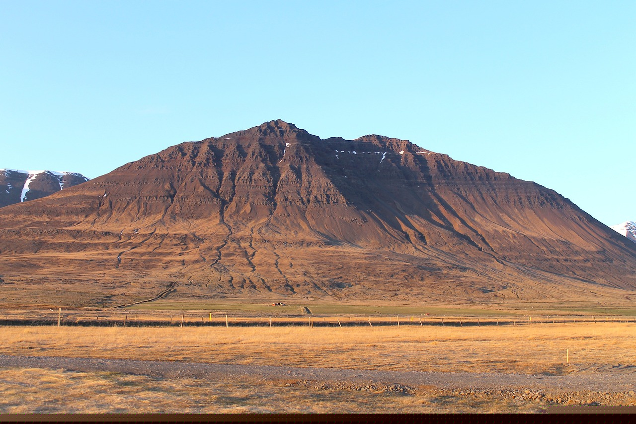 萬愛東的最新動態與成就概覽