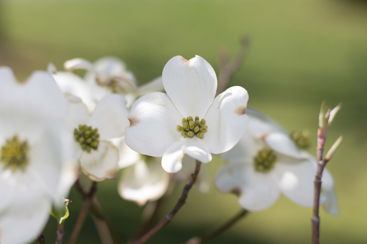 方一諾最新動態,閃耀之星的新征程