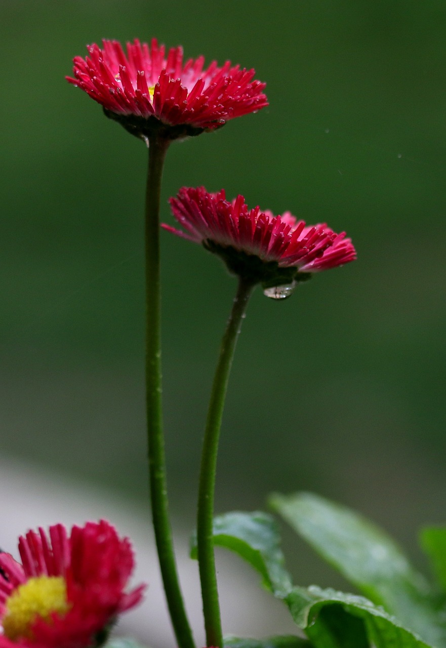 多多最新詩歌，探索心靈深處的詩意之美