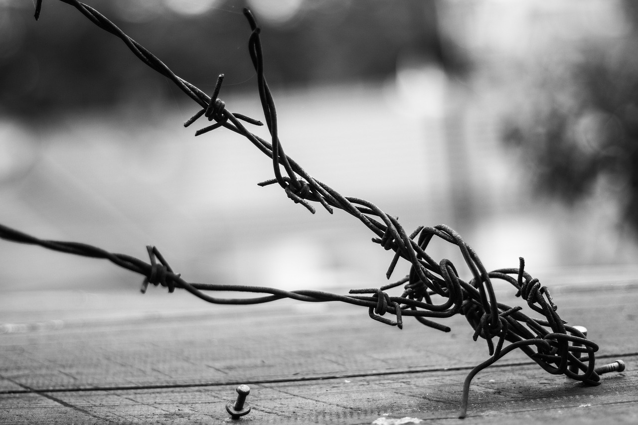 秋蟬最新劇情深度解析，細(xì)節(jié)揭秘與劇情走向探討