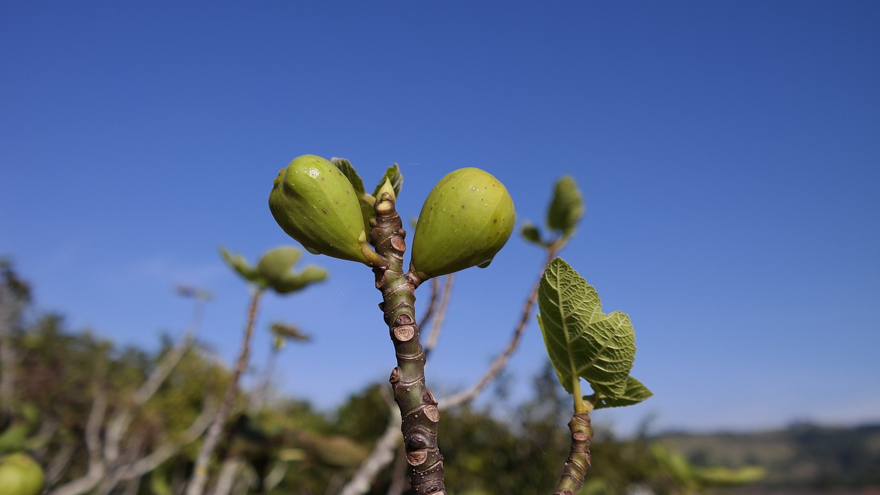 合肥沁園最新動(dòng)態(tài),新時(shí)代魅力綻放