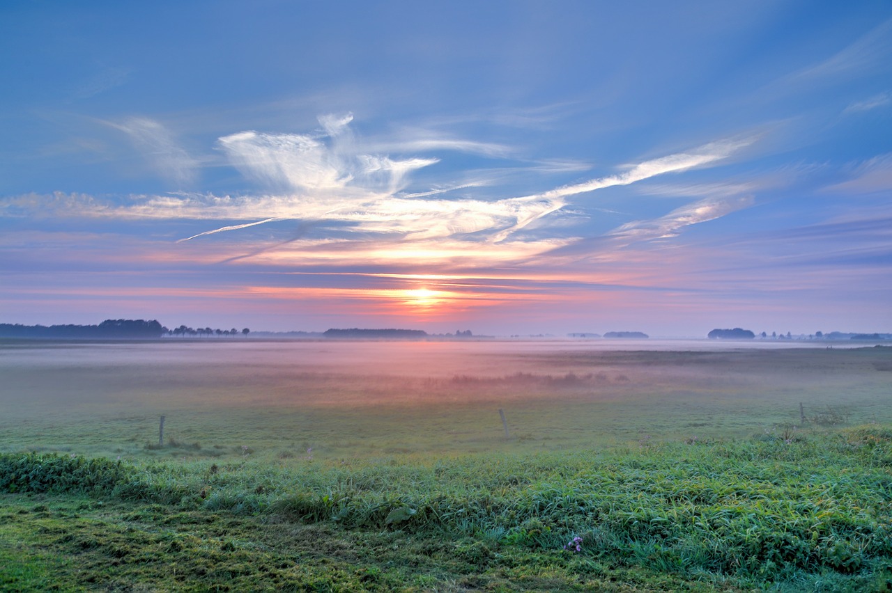 桂平最新城建進展及未來展望