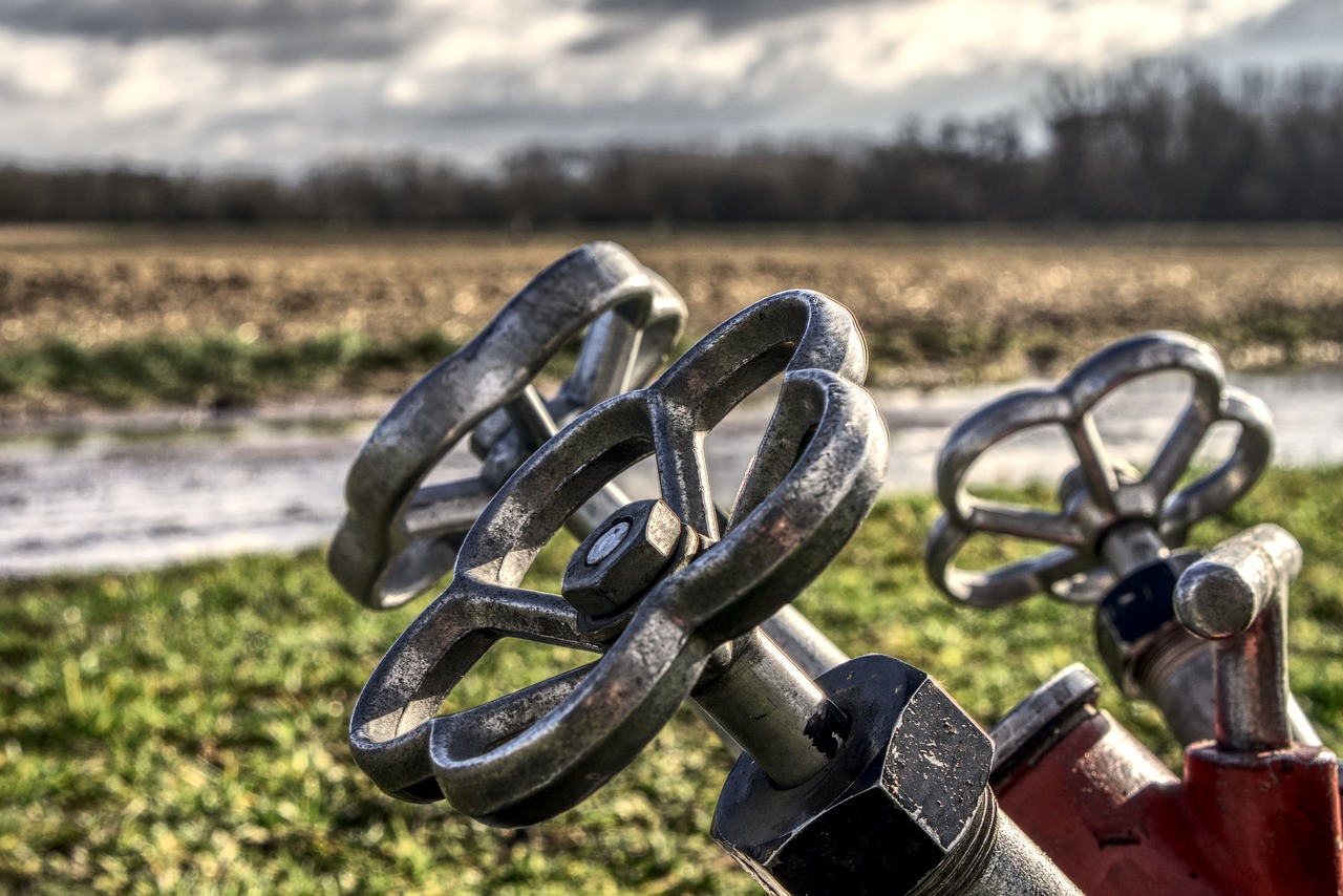 卓爾最新動態，引領變革，塑造未來未來之路