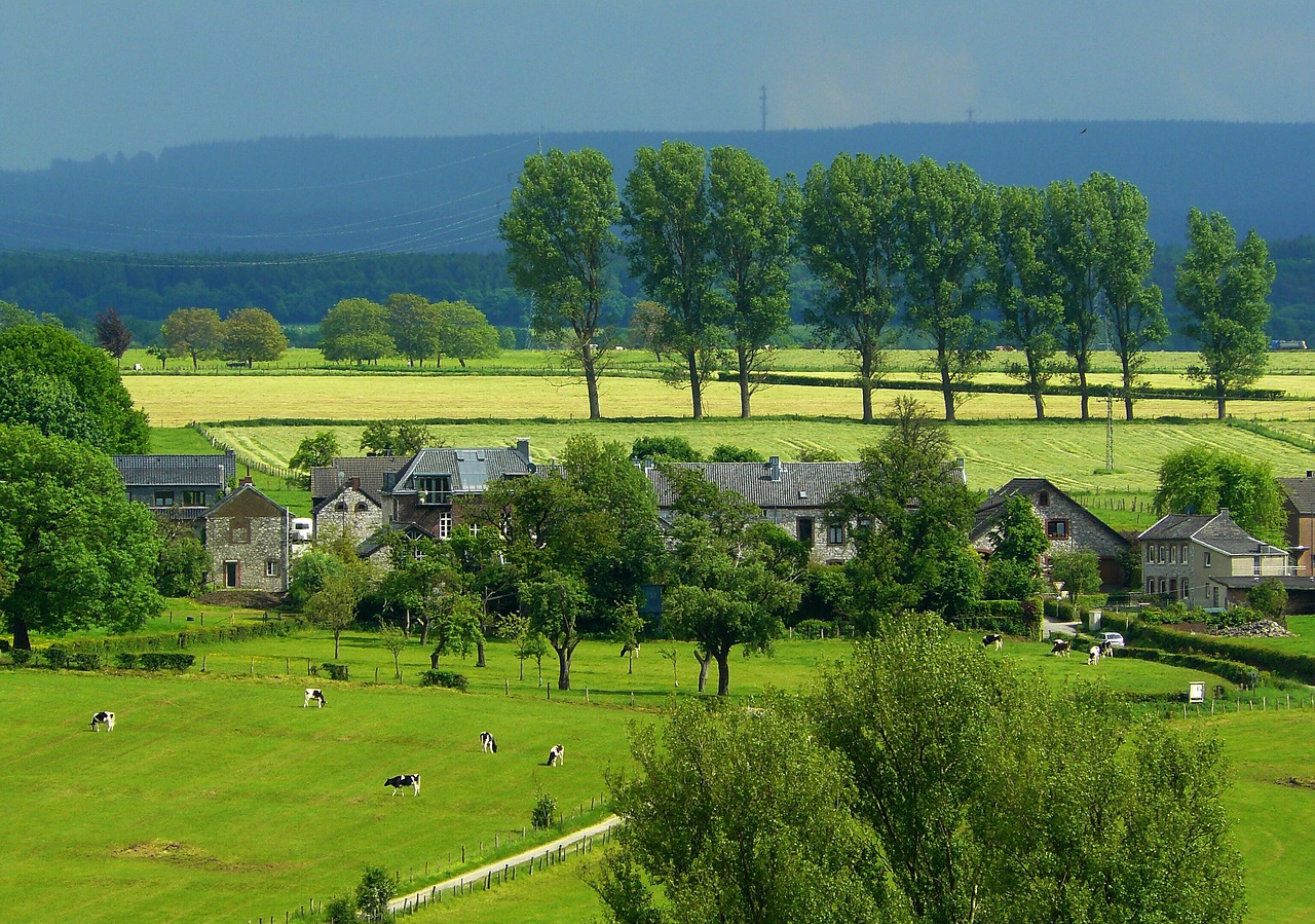 最新樓頂農(nóng)場(chǎng)興起及前景展望