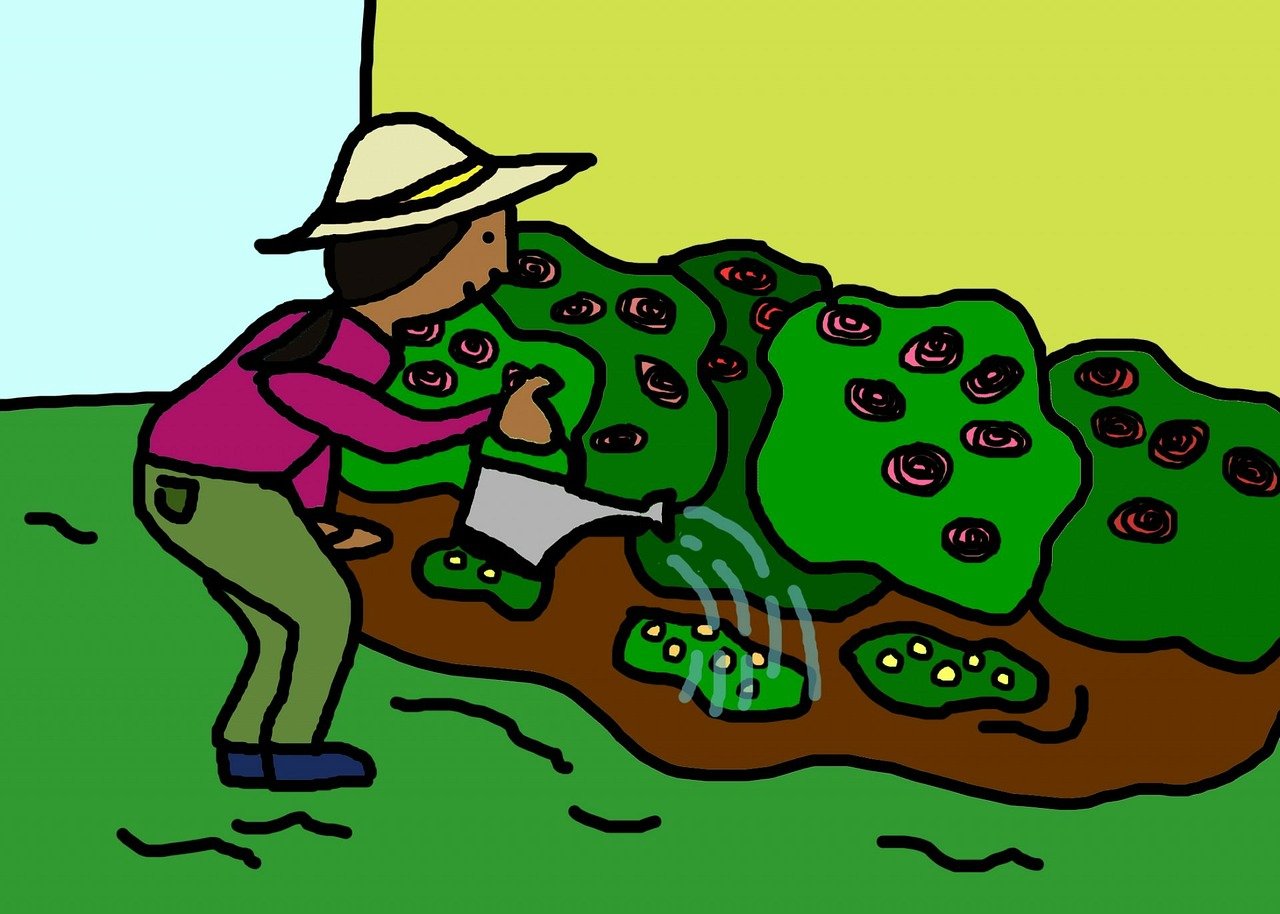 漫畫愛好者樂園，探索最新漫畫網站